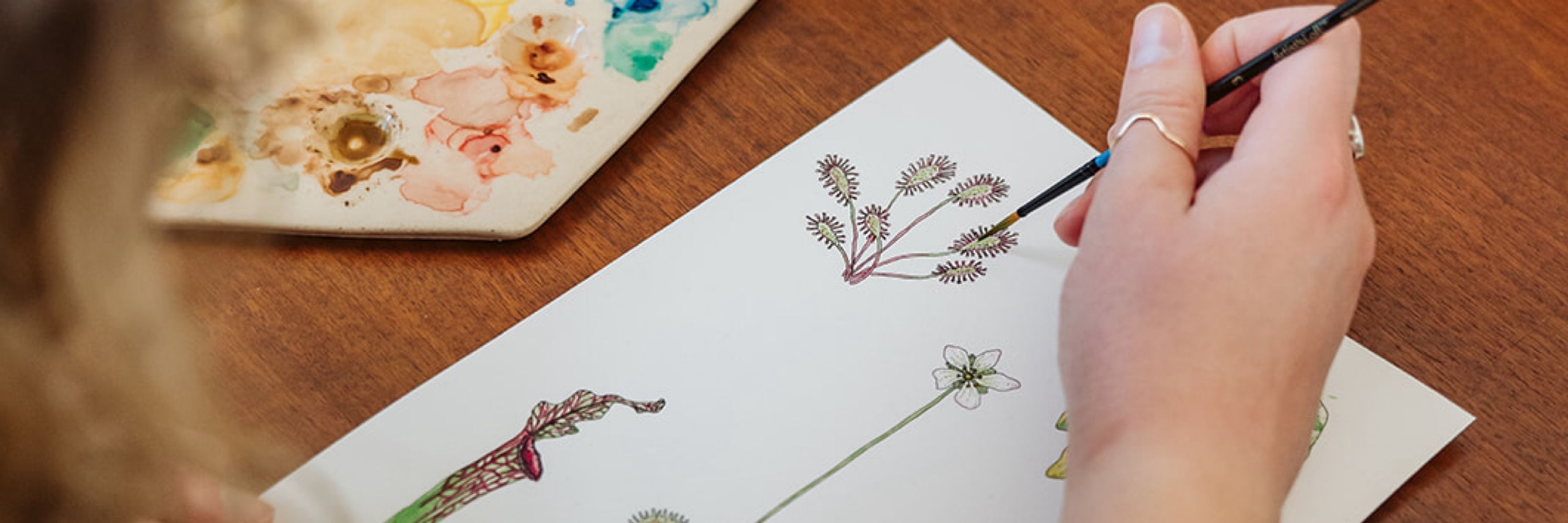 Linnea Campbell Studio