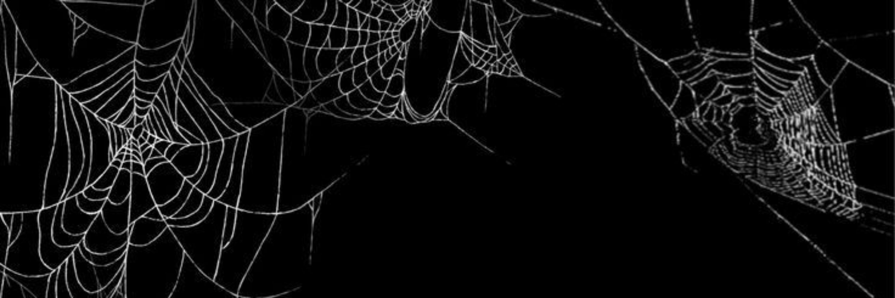 gargarejo de merda 🕷️