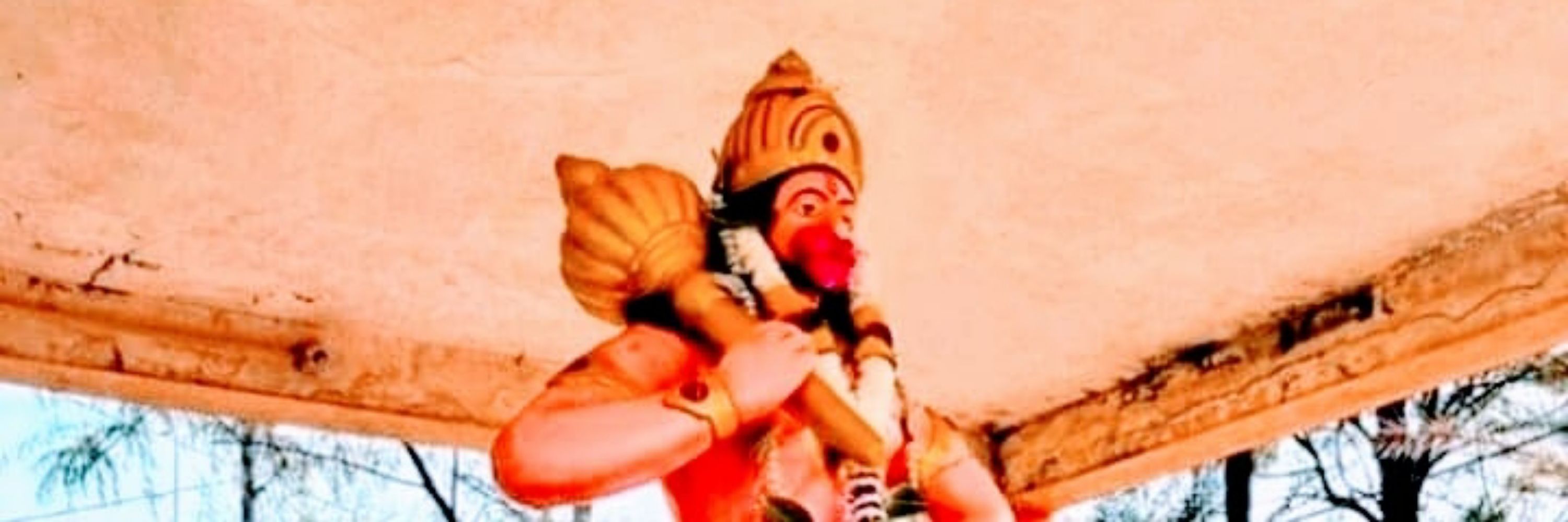 Suraj G Naik