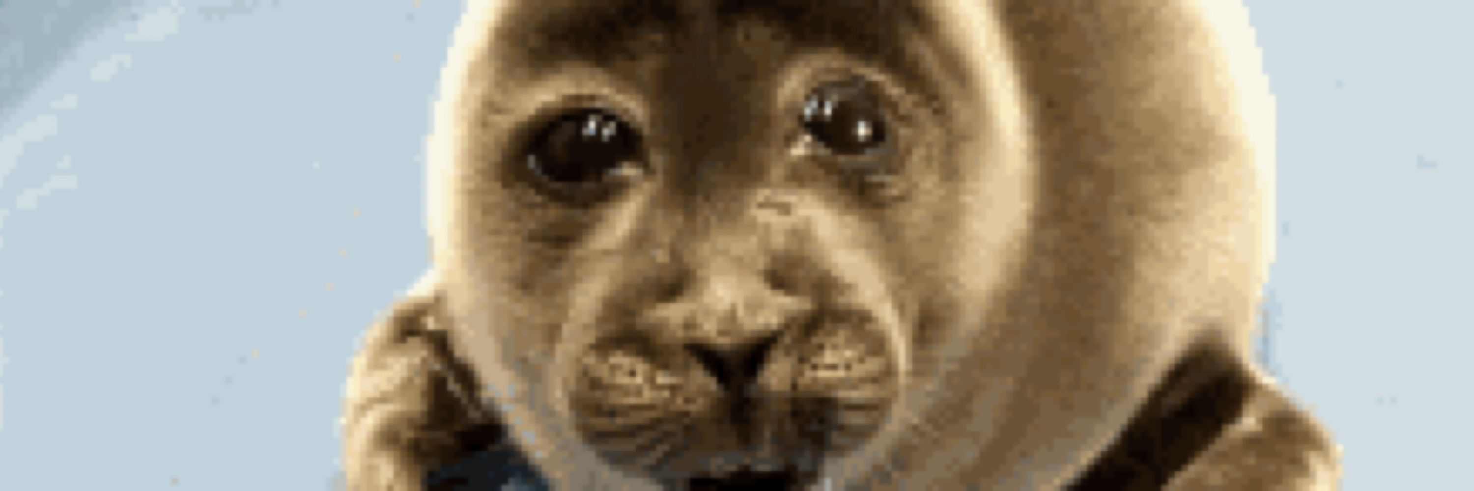 tooby