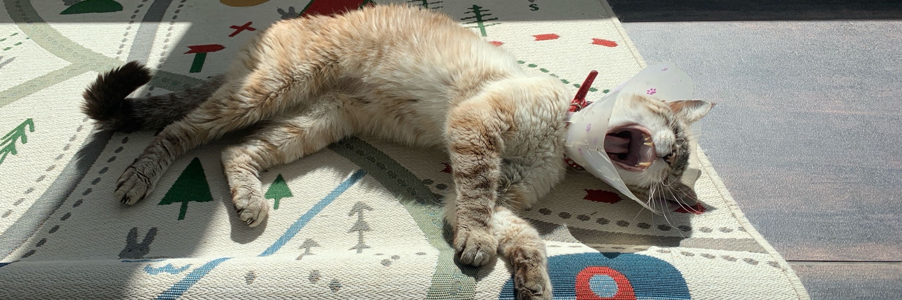 Hildoudou (et Séraphine)