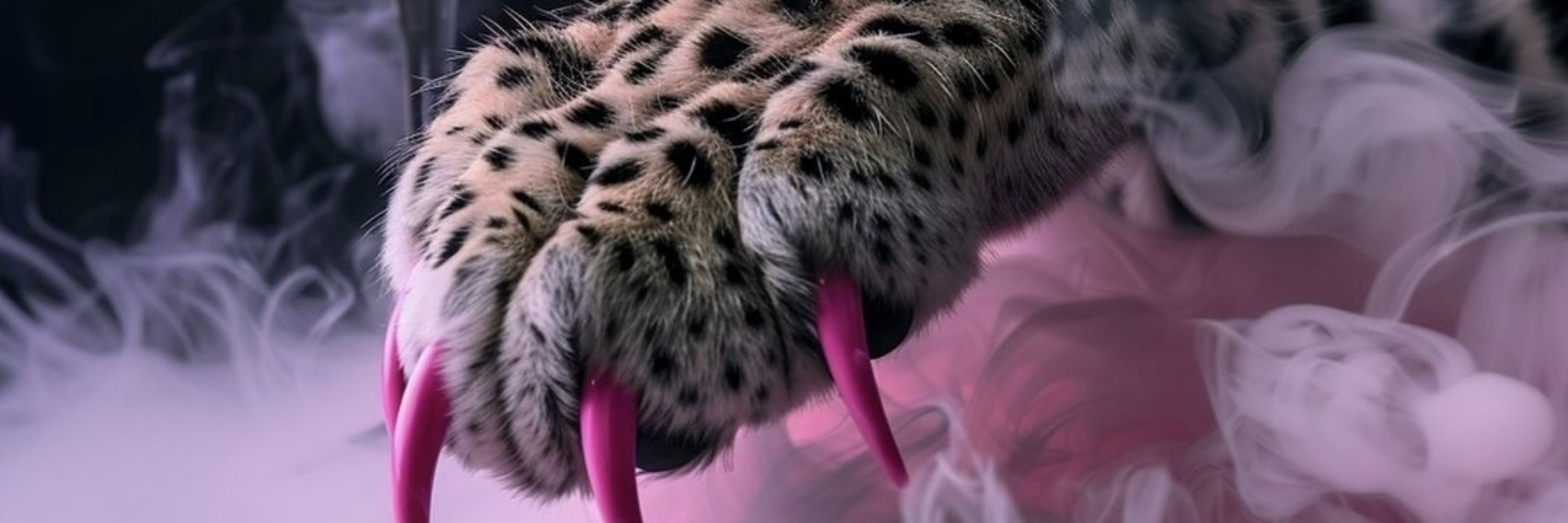Gmajesty