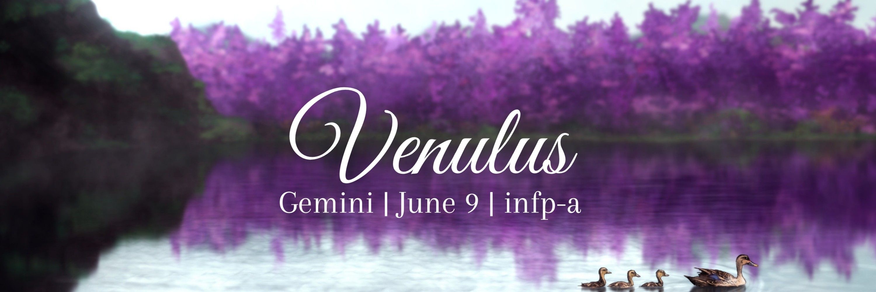 Venulus