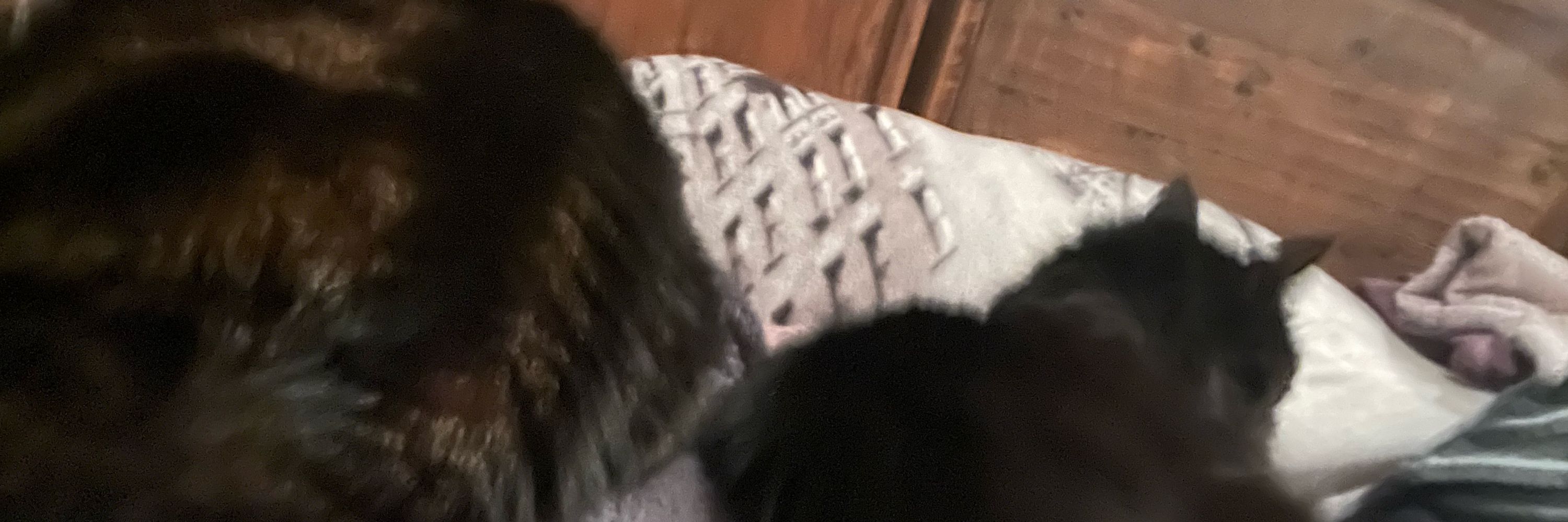 Katja🐈‍⬛🐈🏳️‍🌈🇳🇴