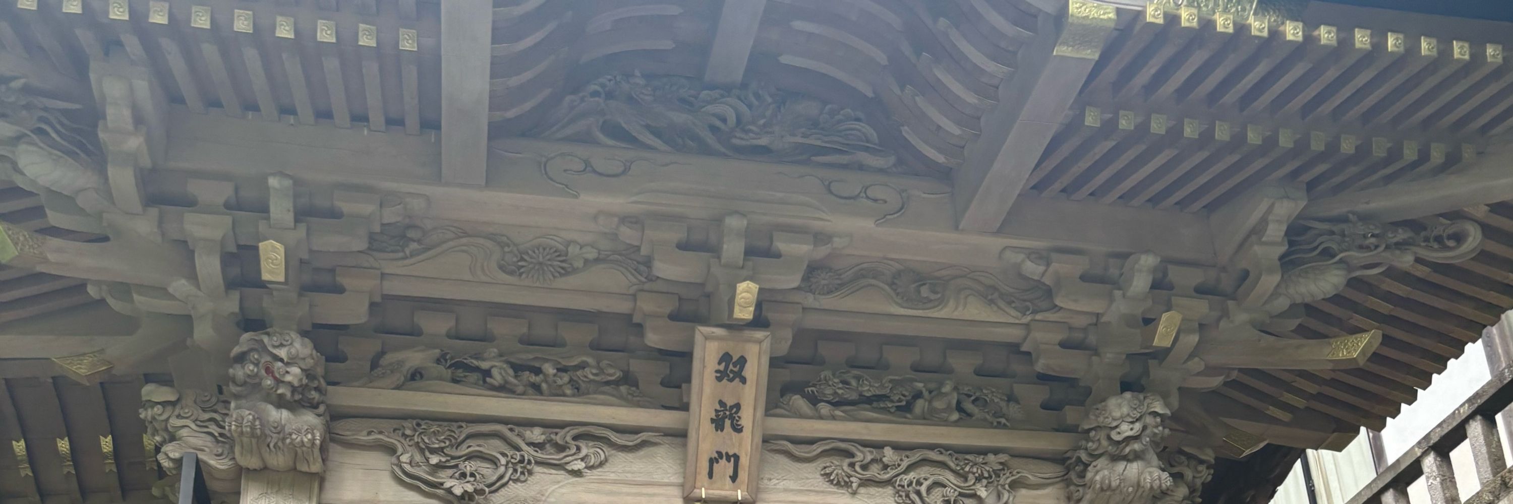 らら🪄🩵