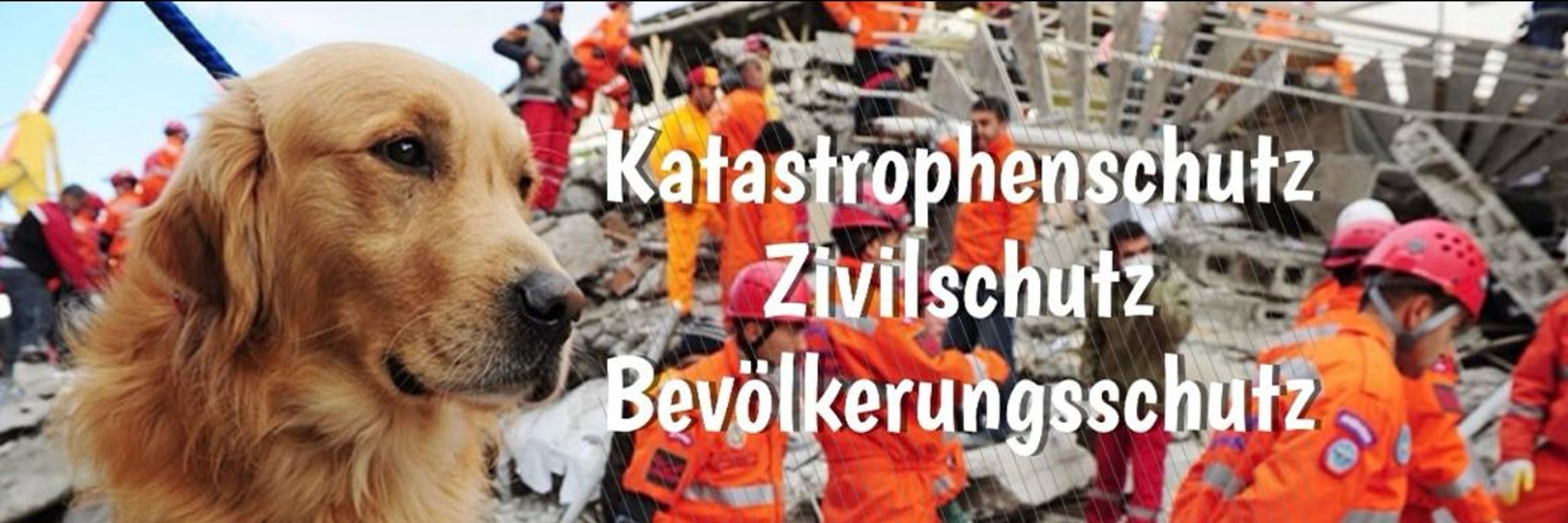 Katastrophenschutz - Projekt Manager