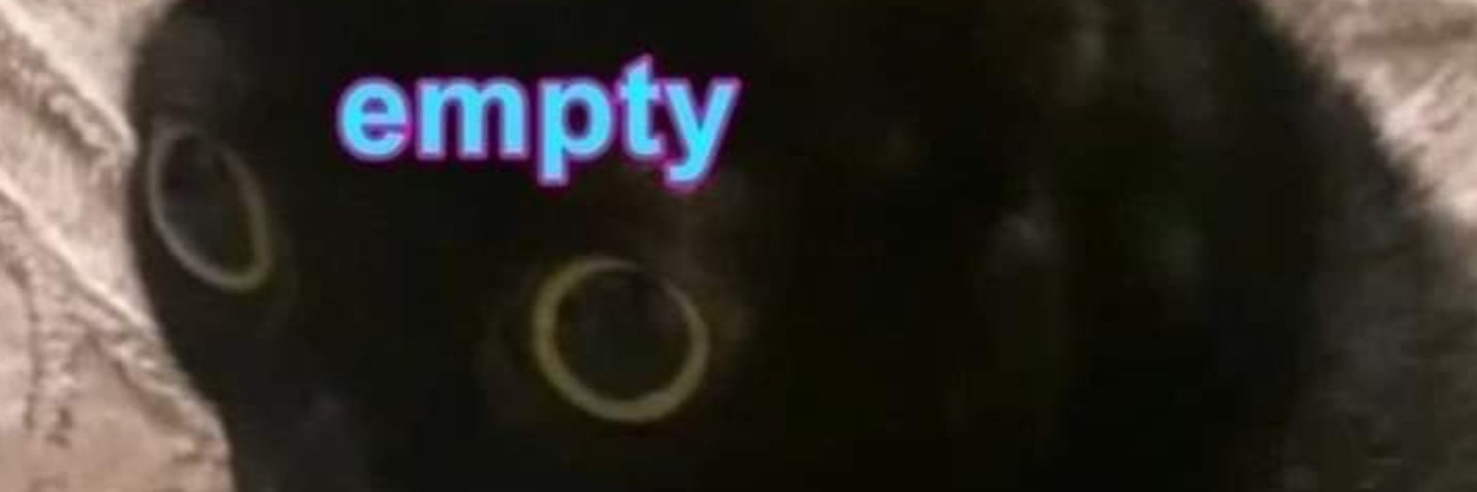 WolfeyLeon