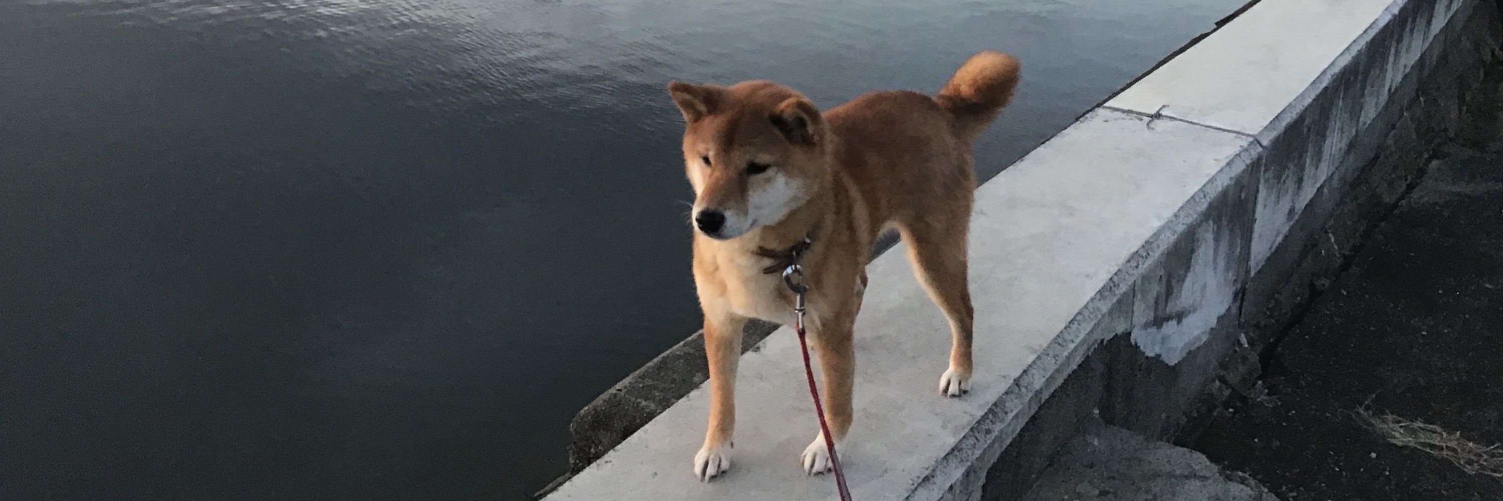 KOHNO Katsuyuki