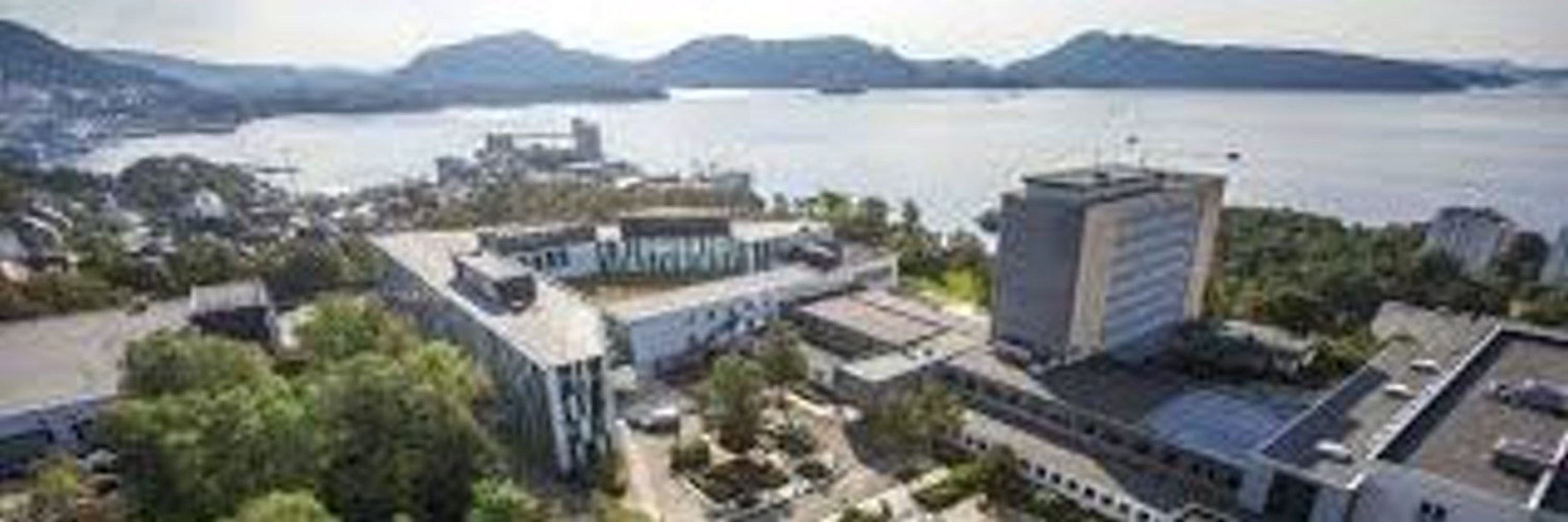 Department of Economics, NHH Norwegian School of Economics