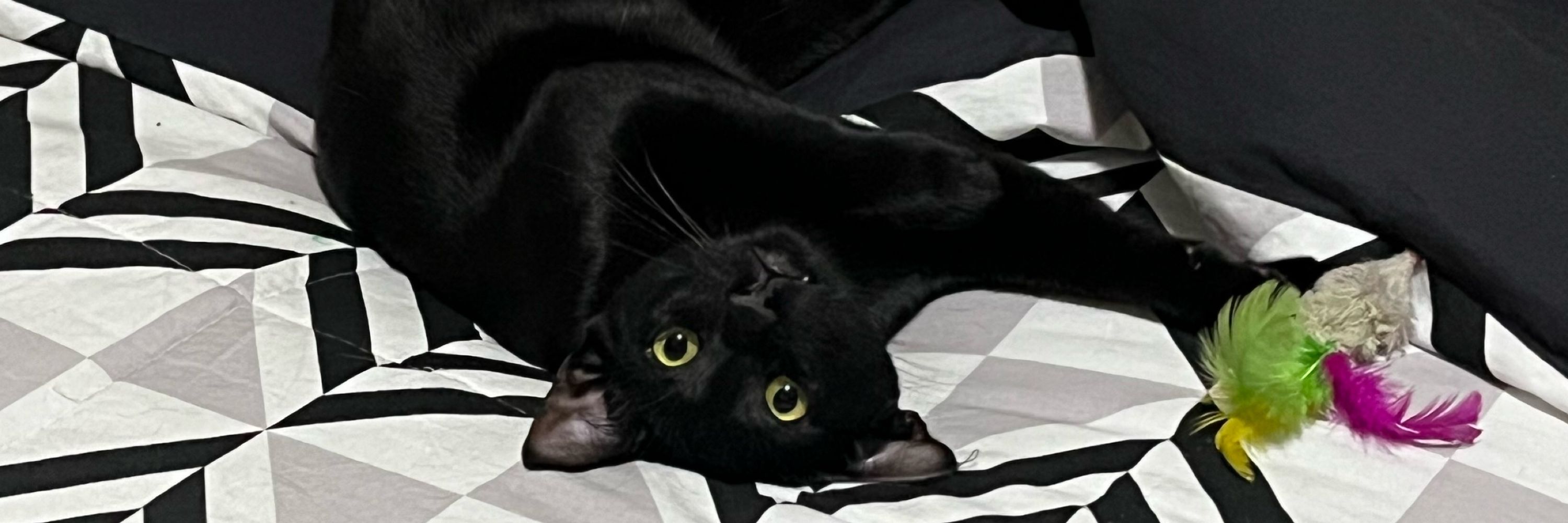 Tatavo