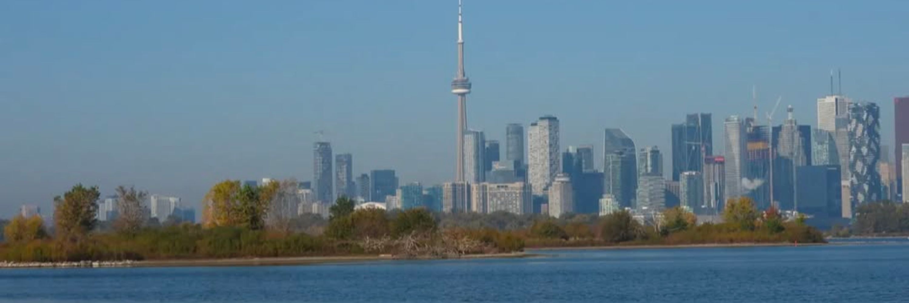 OntarioBlackBirder 
