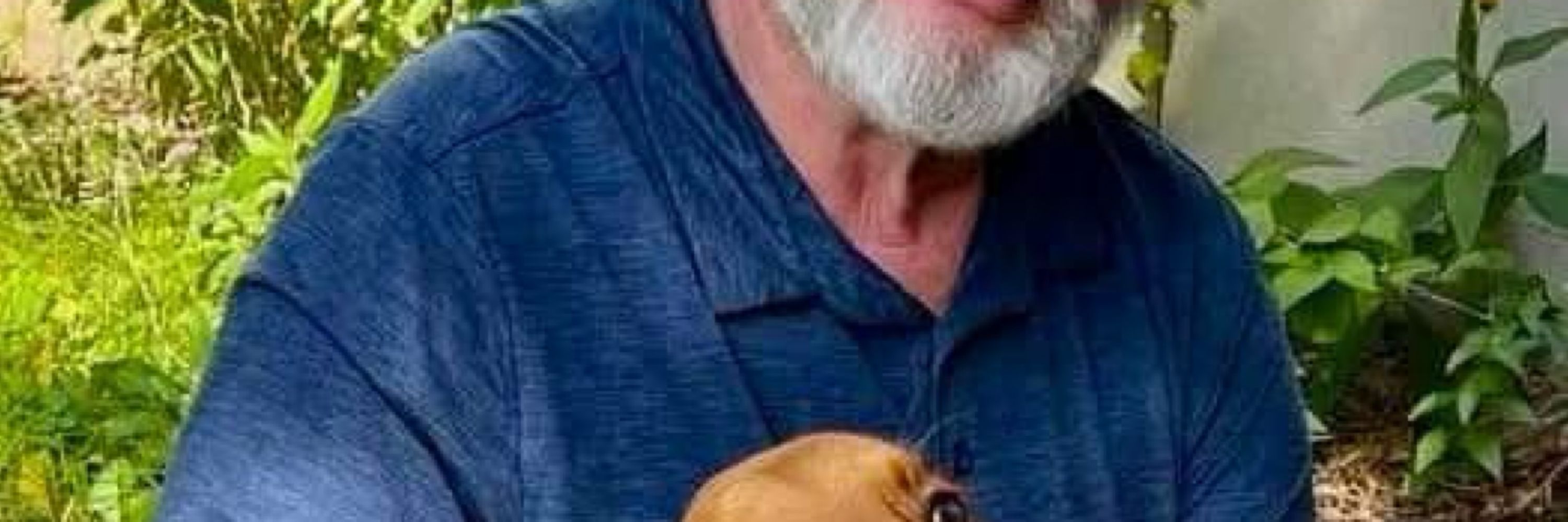 Bill Schultz