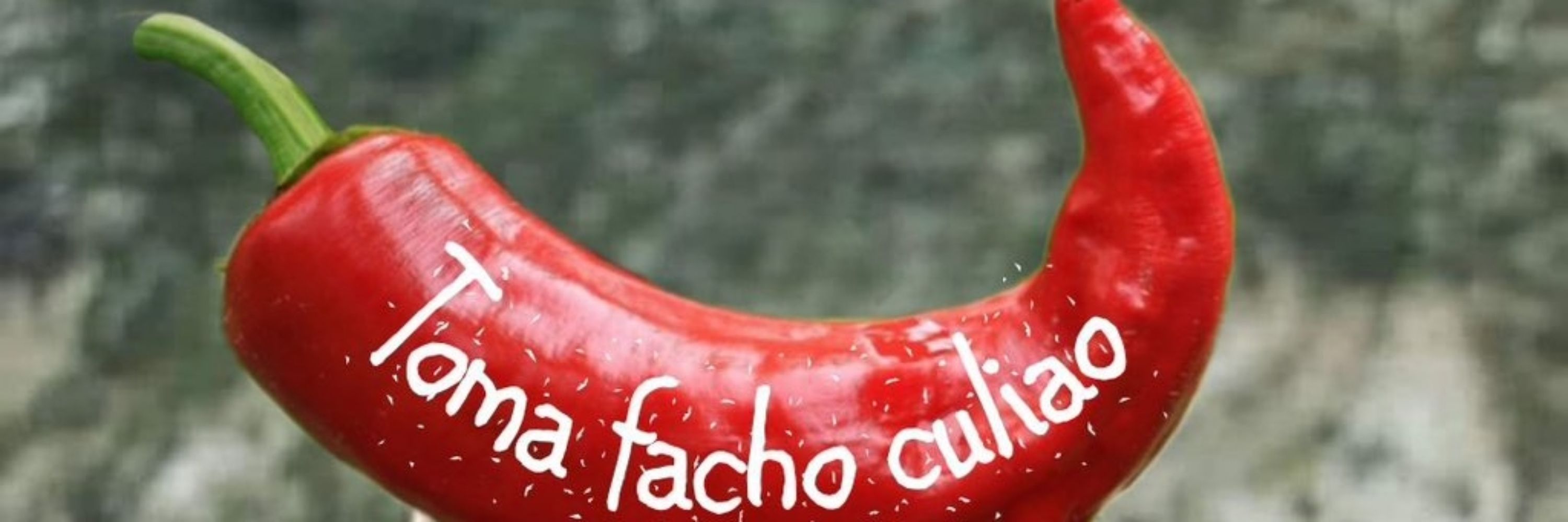 Ruletero18
