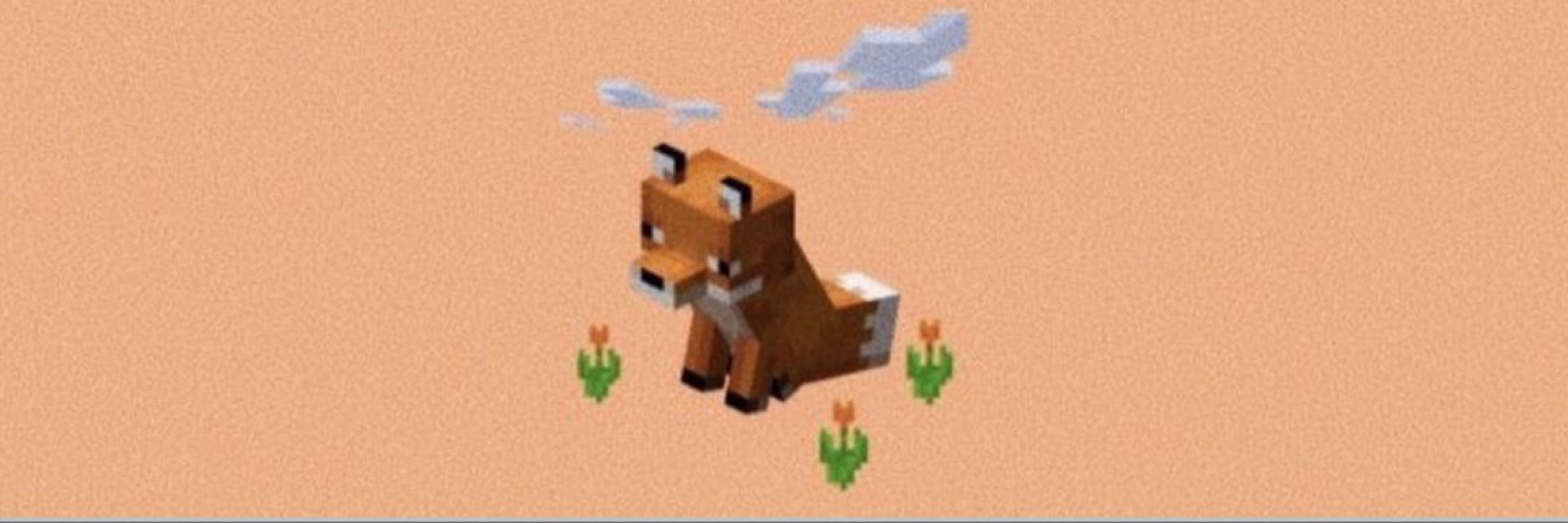 ✧ ｡° 𝔭𝔢𝔞𝔠𝔥 🌱