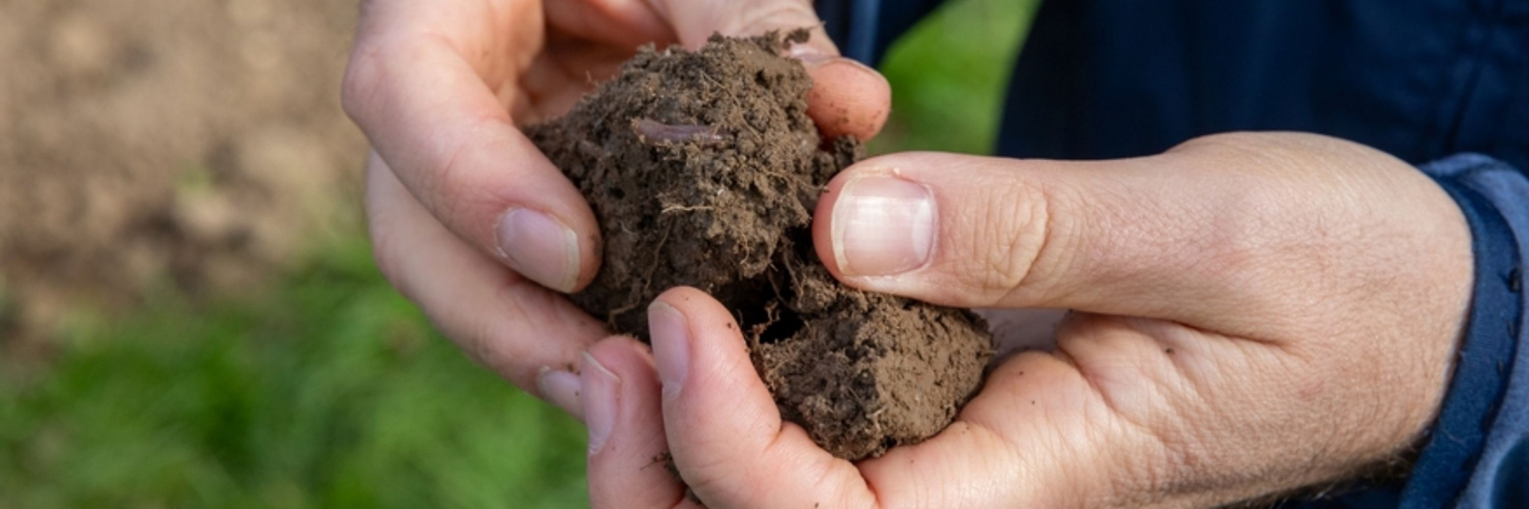 Soil Sciene Society of Switzerland