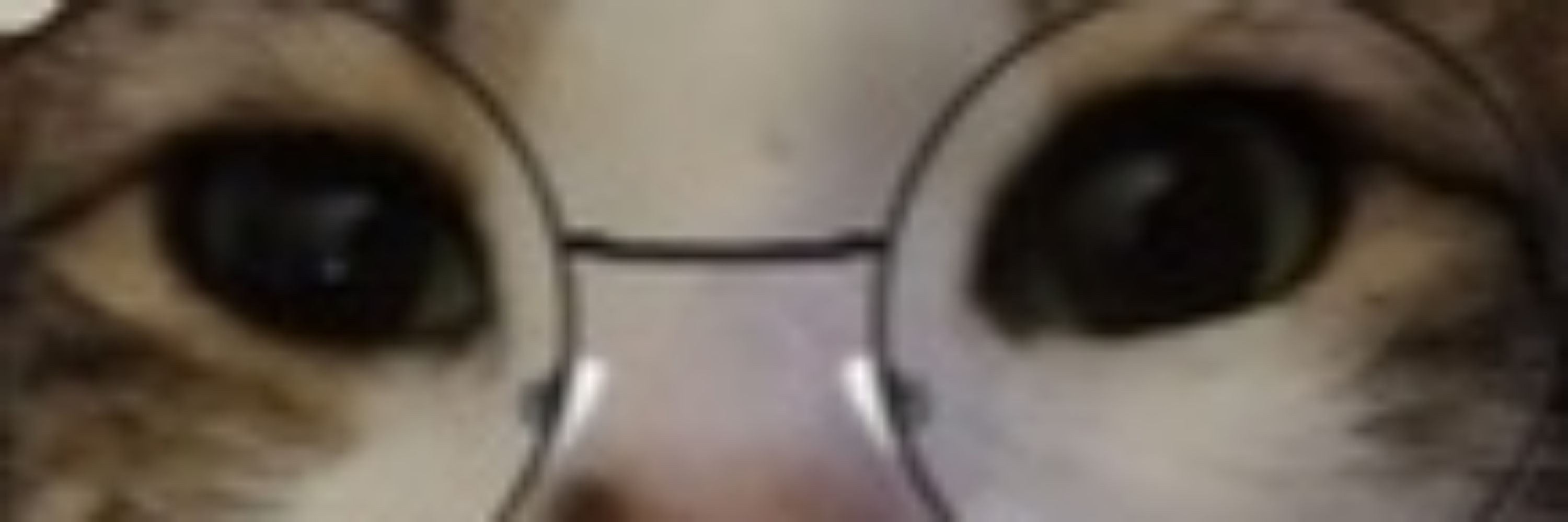 lowfye 👁🪶 PNGTUBER