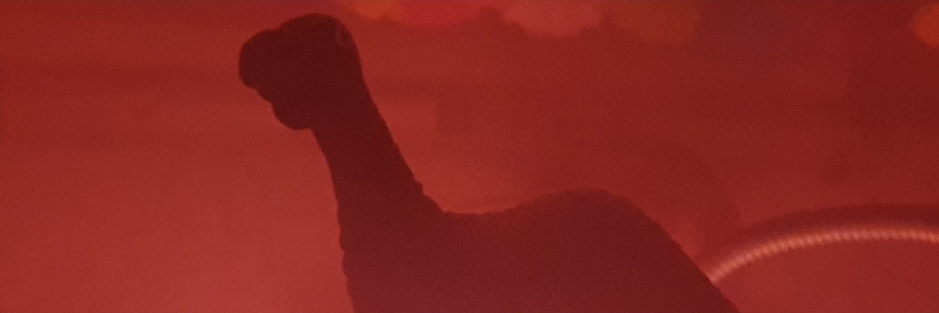 Flaktosaurus