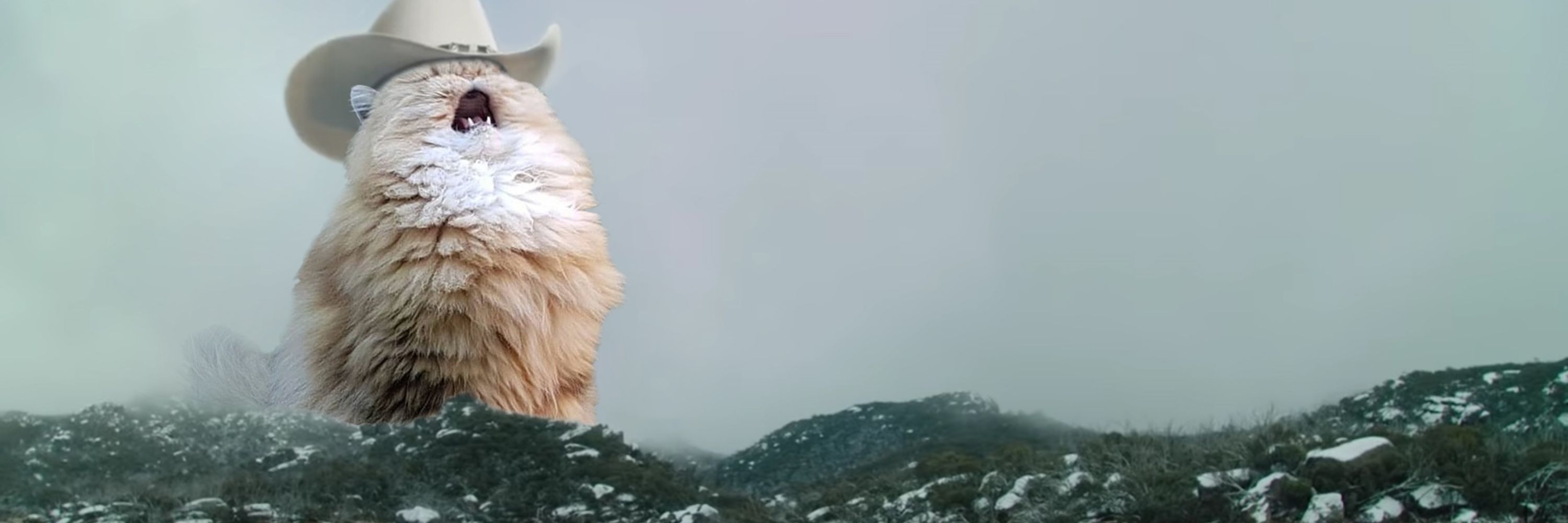Pierre - Socrqte 🐱🍉