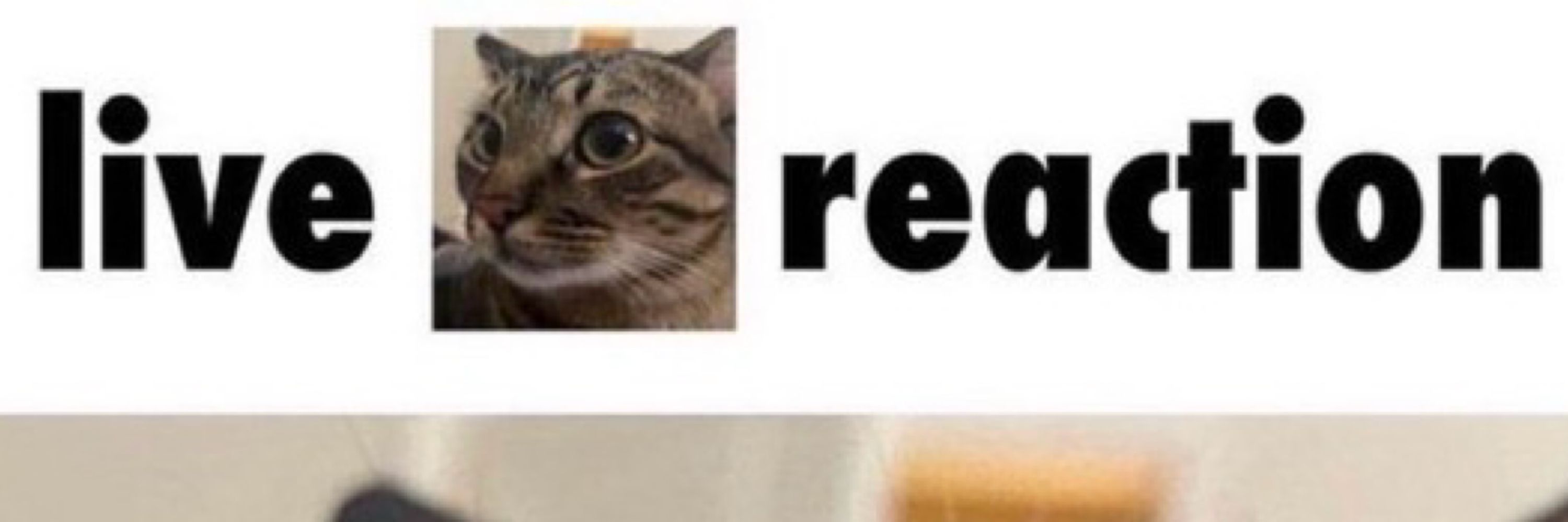 MⱯMⱯYHEM