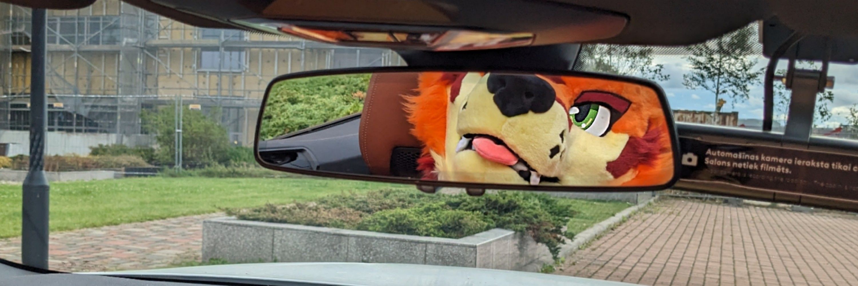 Den the Ott / Husky