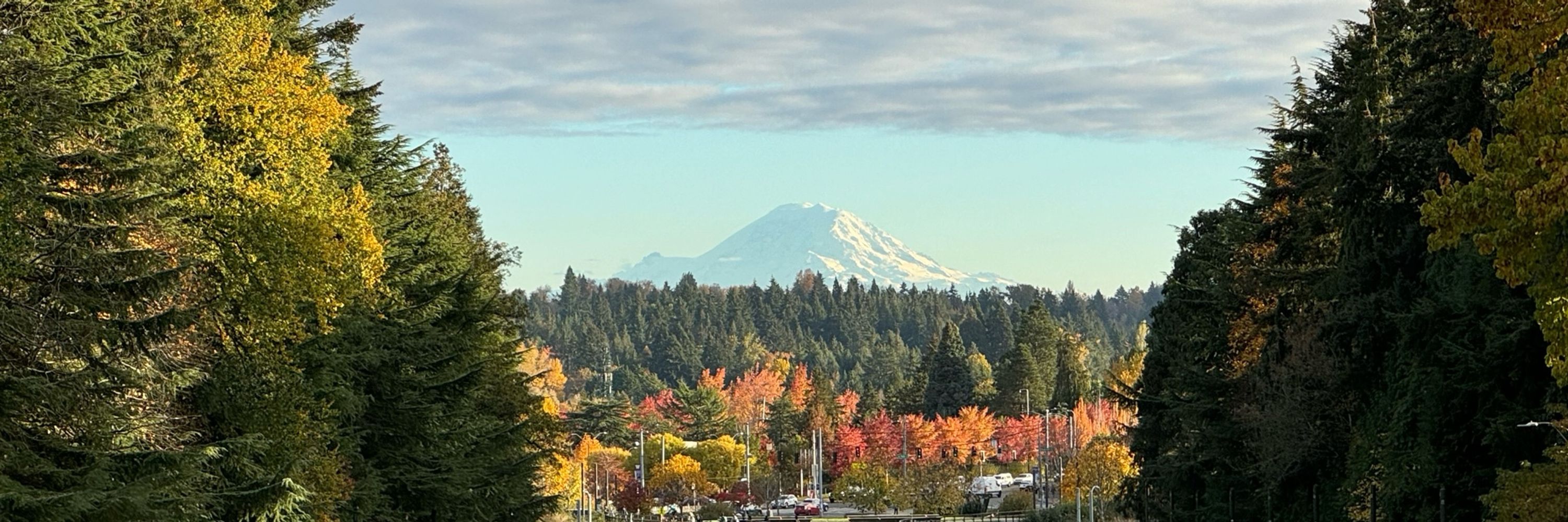 Melinda — Seattle Researcher & Startup Founder