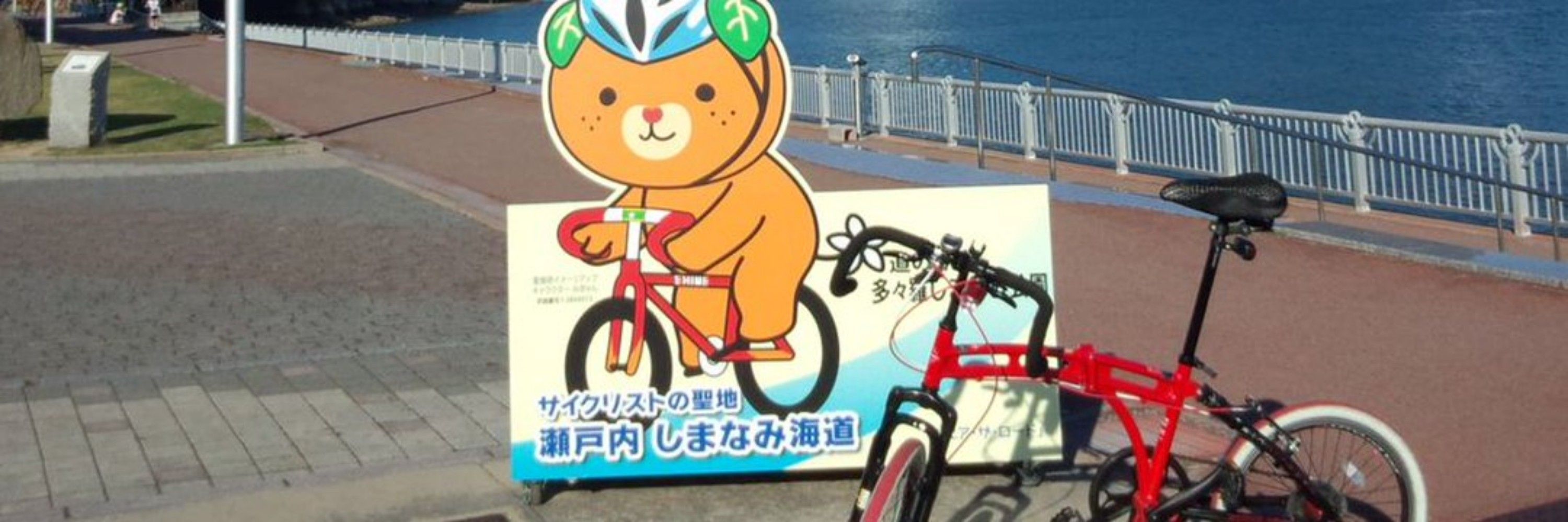 重草莓账户🍓