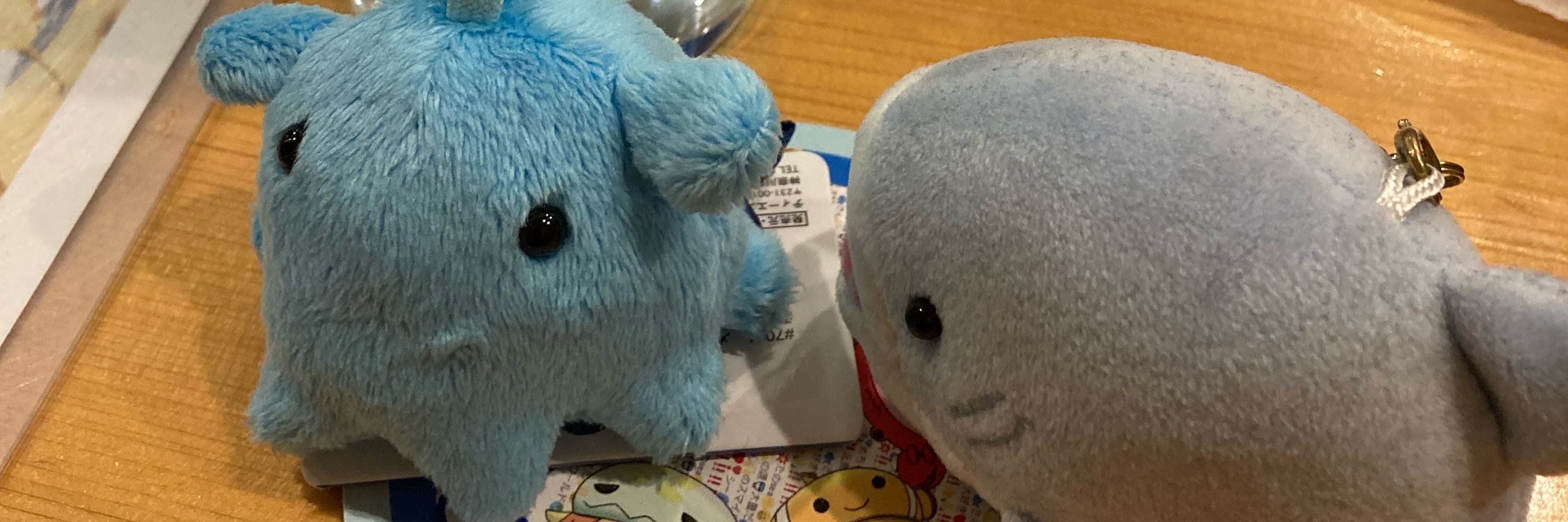 ⚽️BLUE(ぶるー)🦈