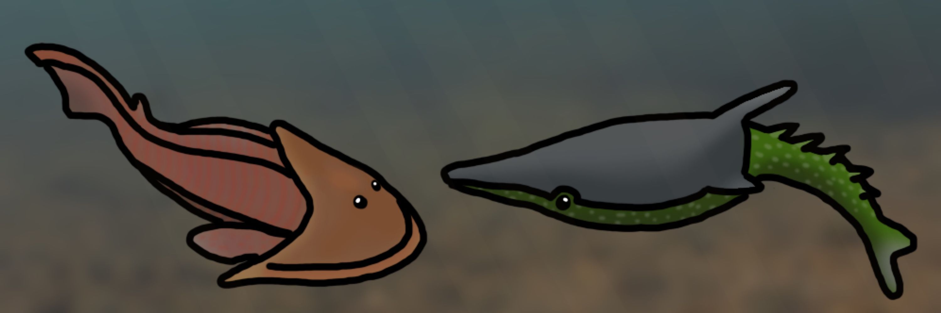 zoymoder