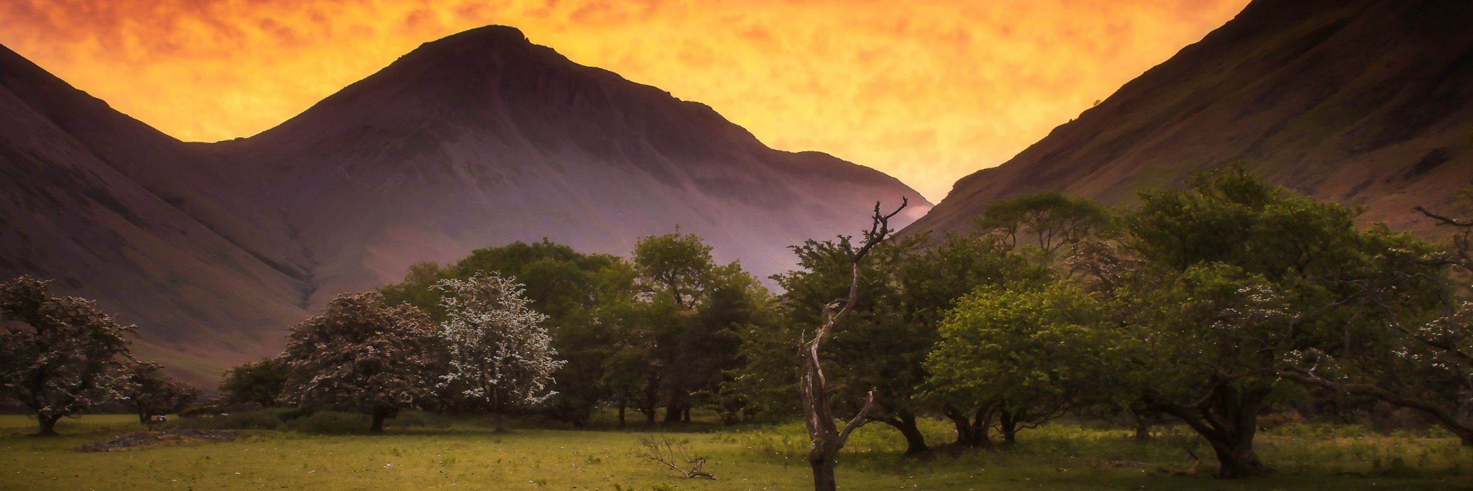 Cumbria Community Foundation