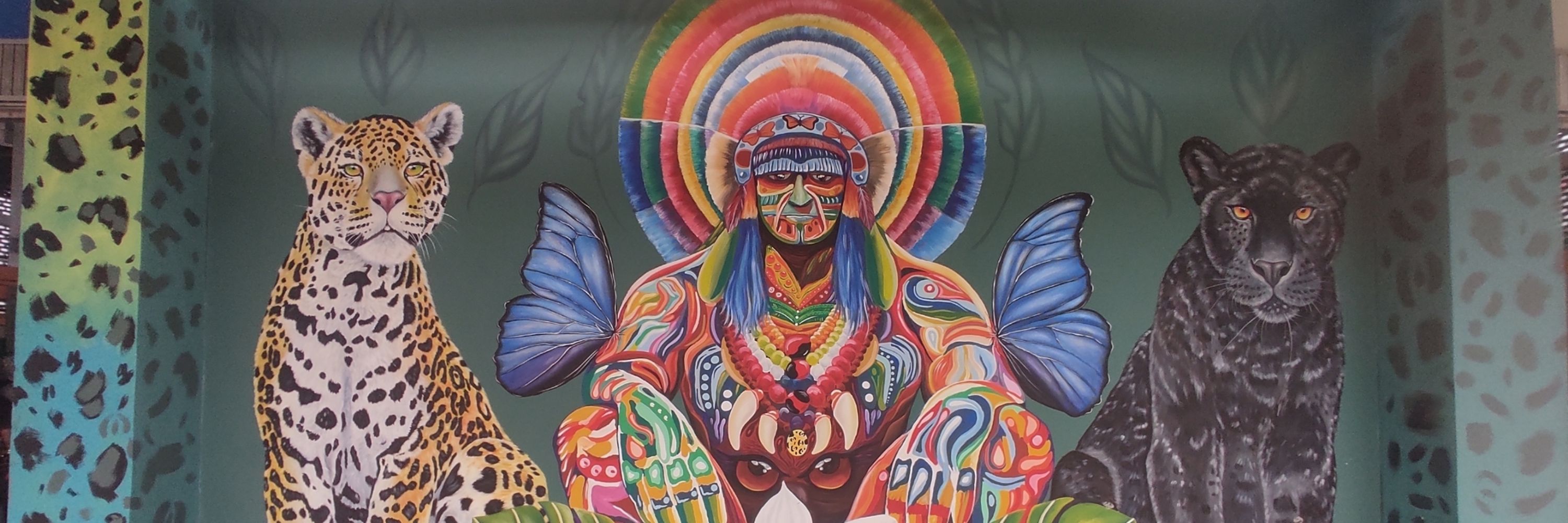 Puertos Del Amazonas