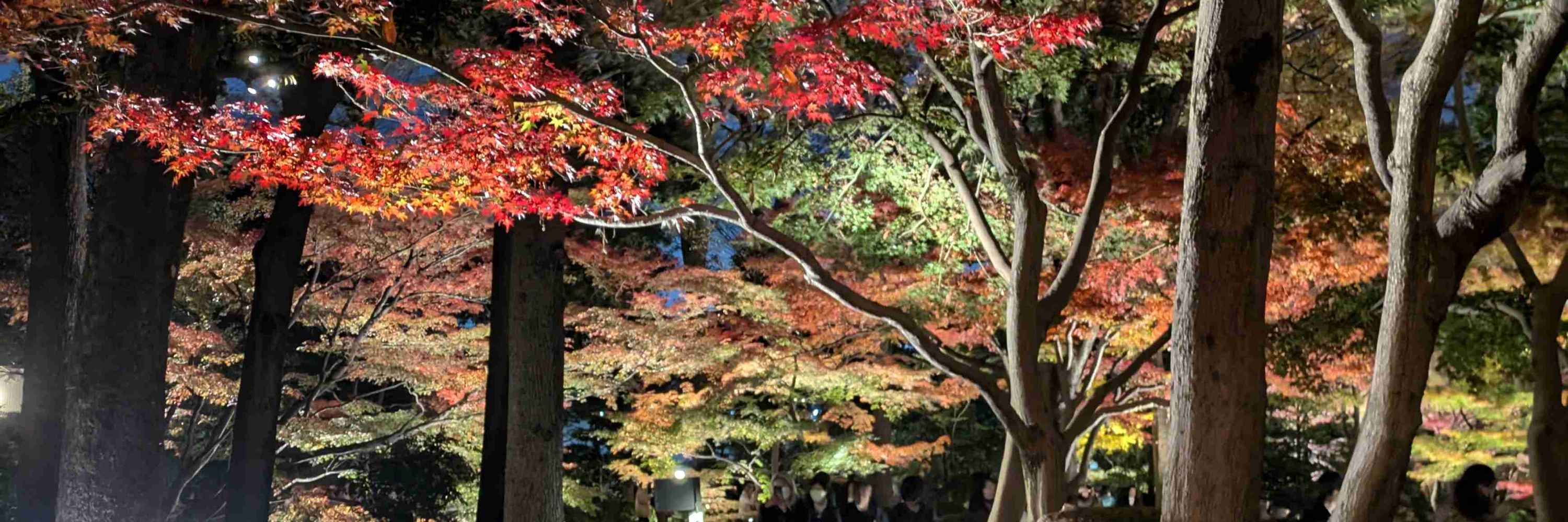 山下さつき Satsuki Y