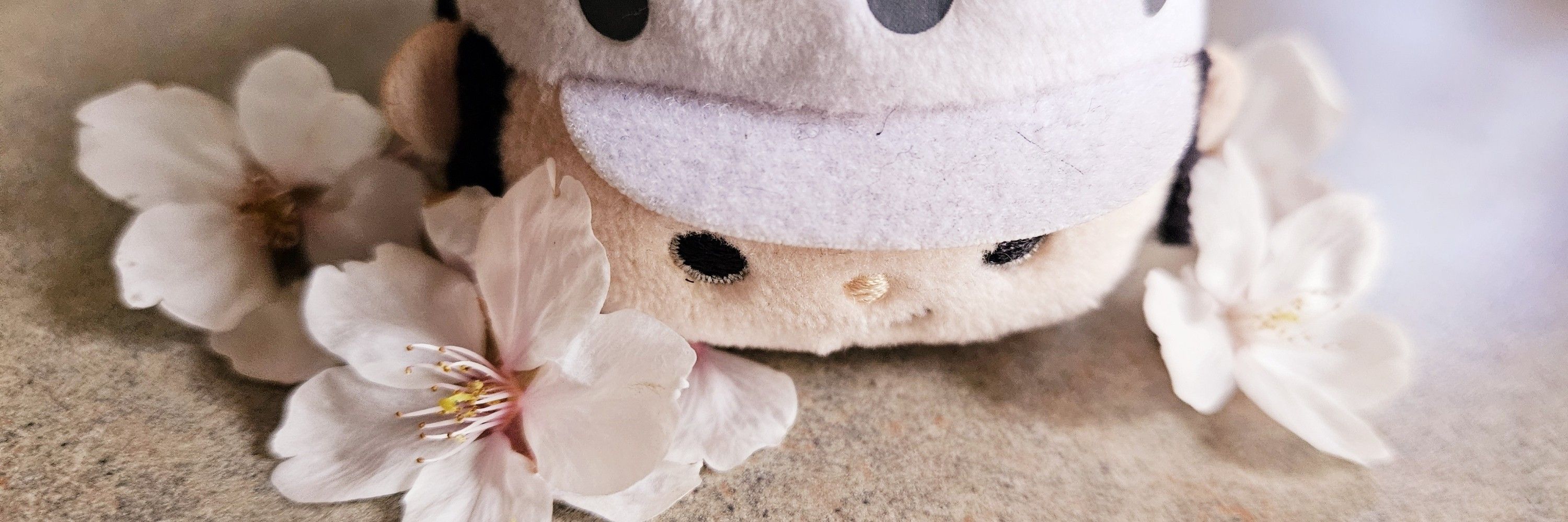 Akitamii🌸