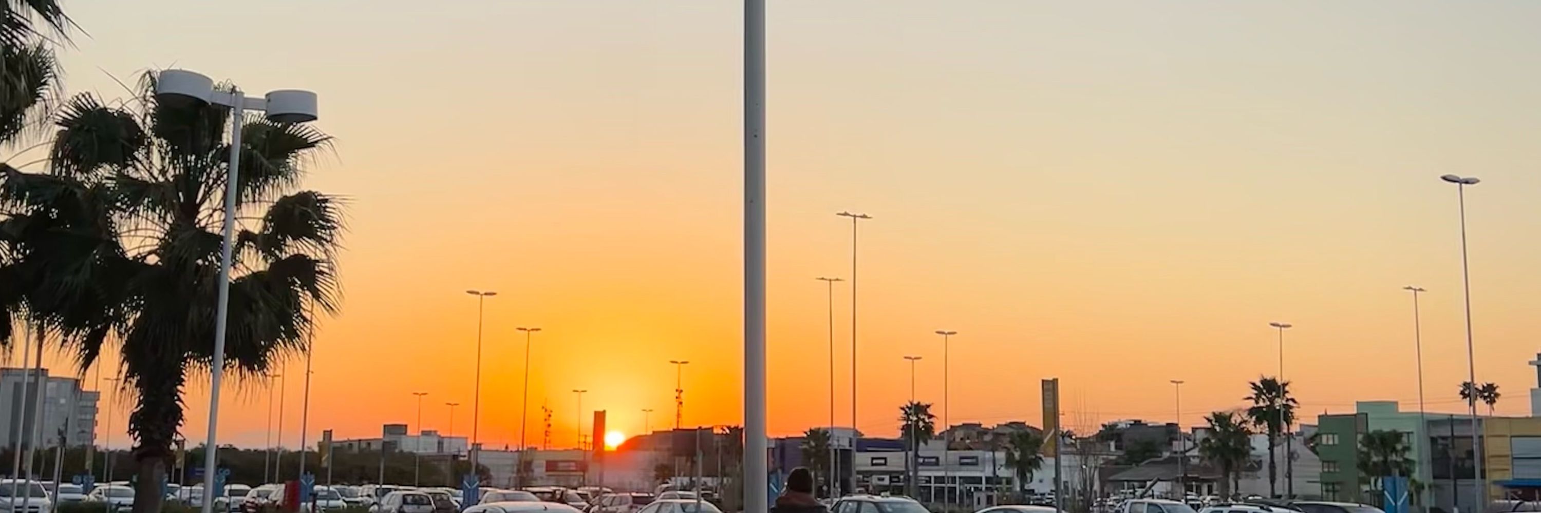 M.
