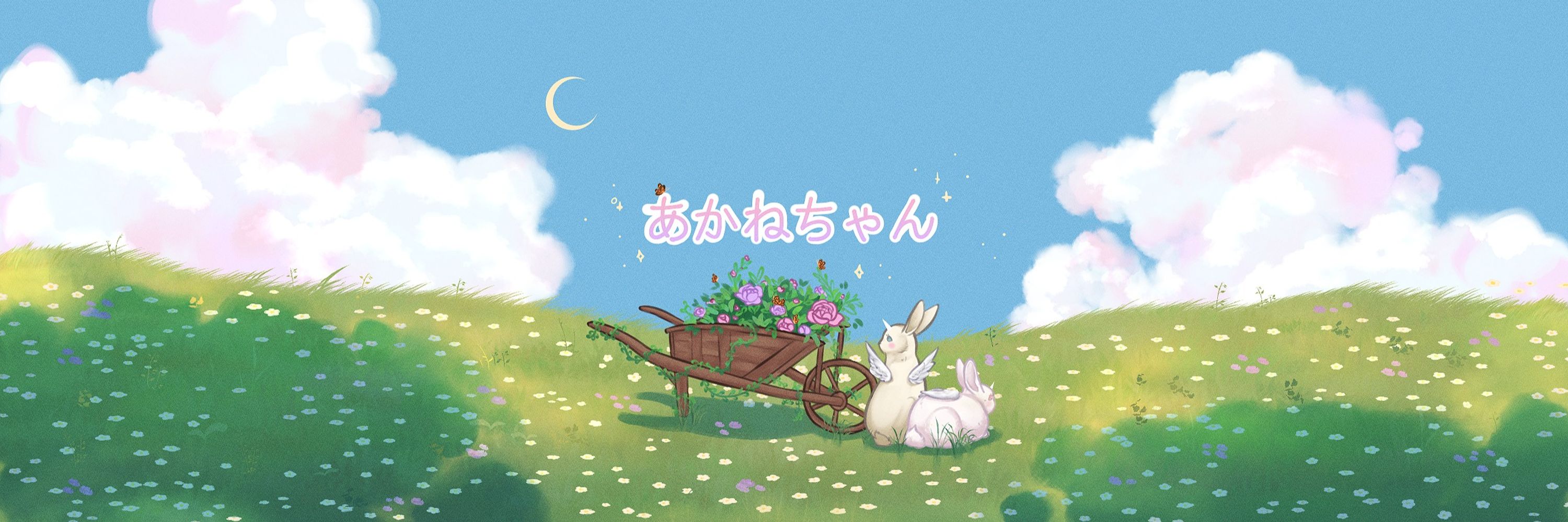 AkaneChaan
