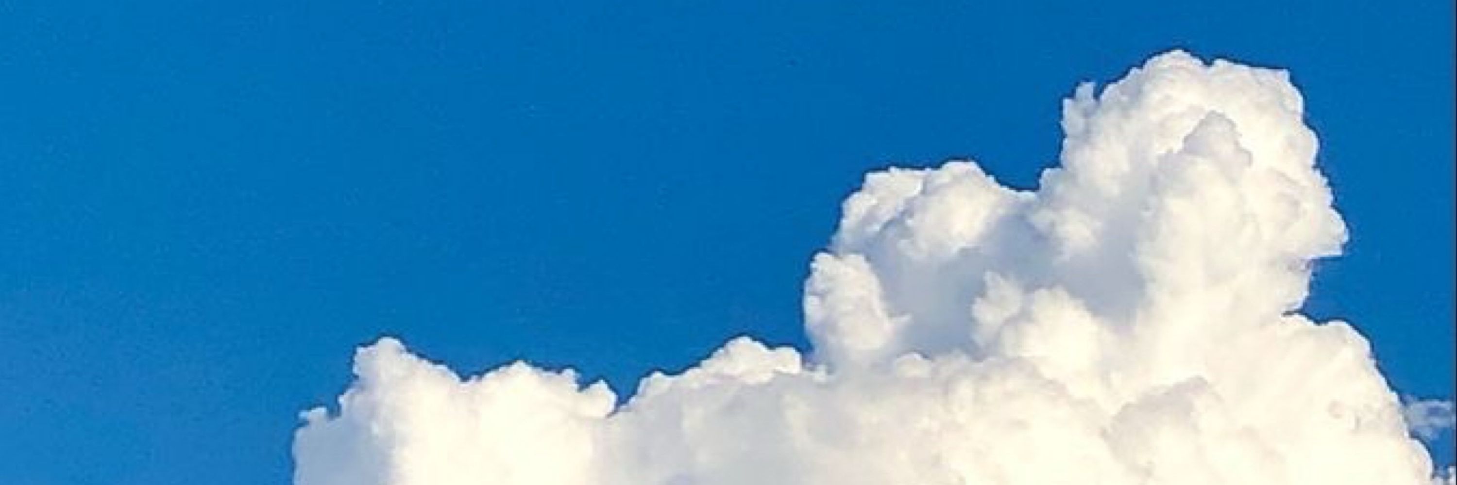 ﾂ  ﾀﾞ