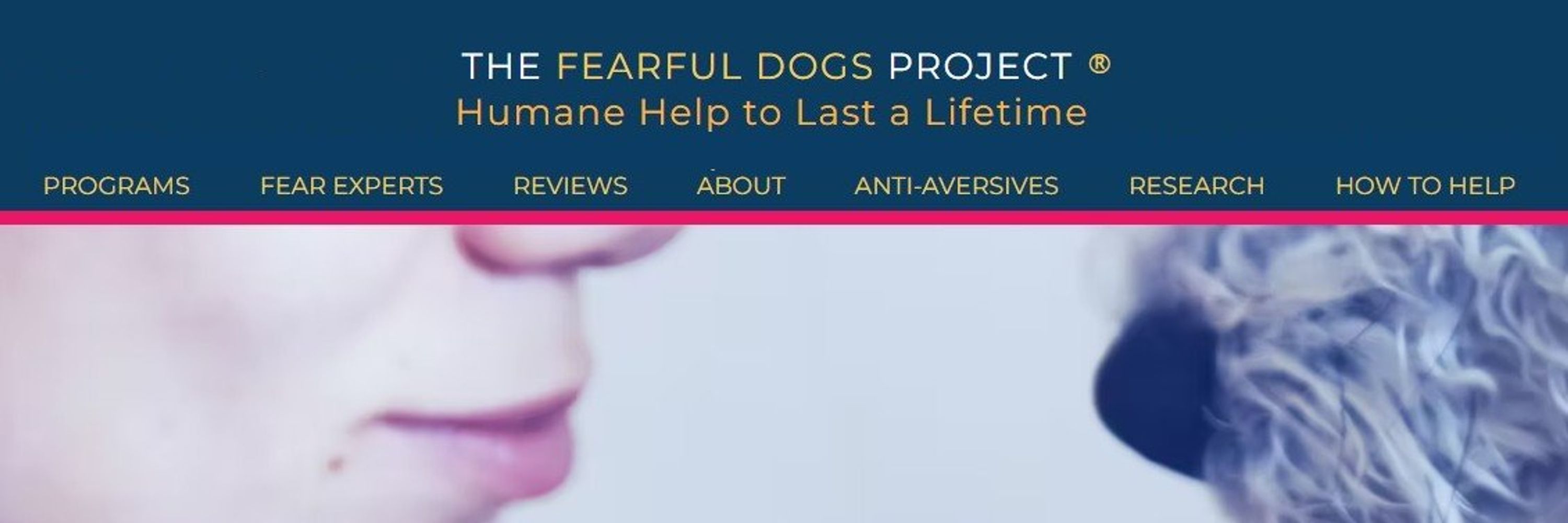 The Fearful Dogs Project  www.FearfulDogsProject.org