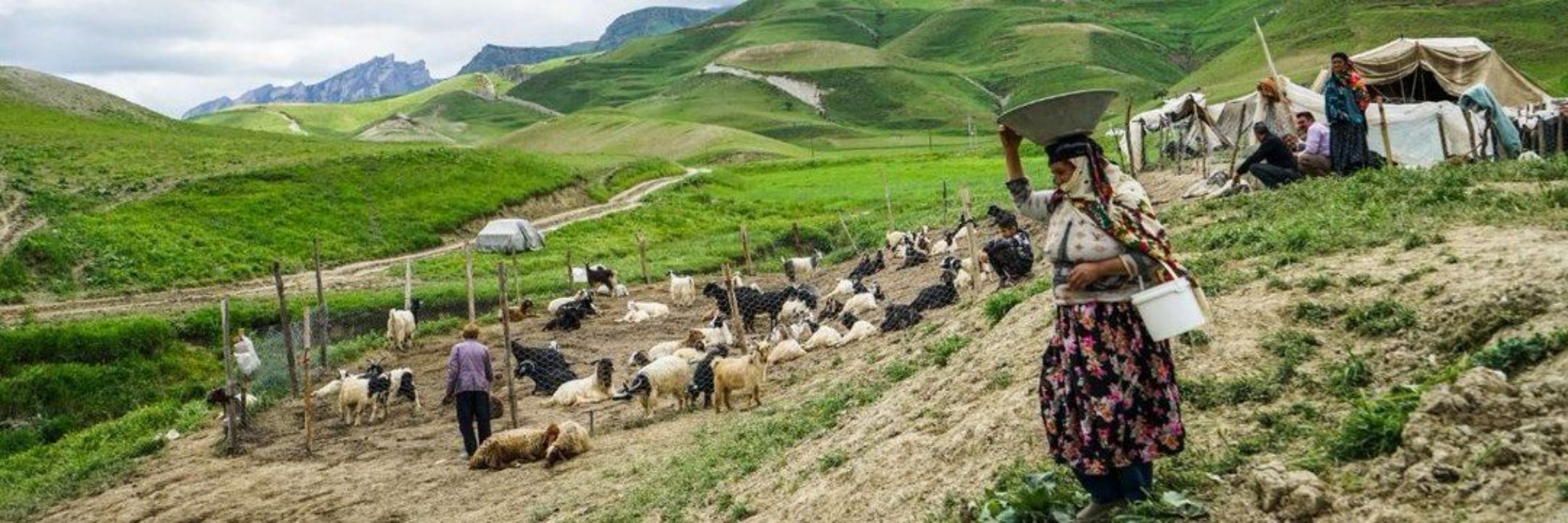 مهدی رضایی