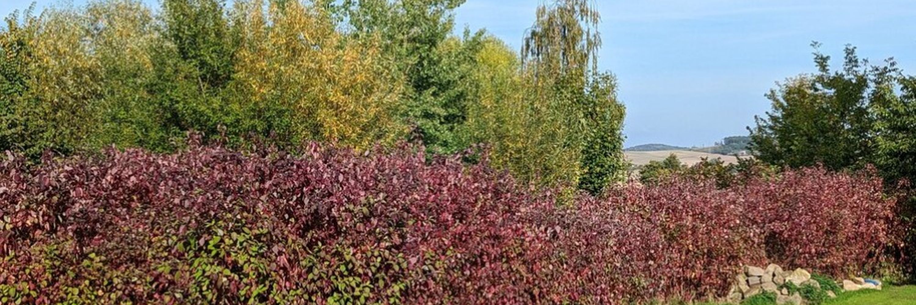 Stark im Garten