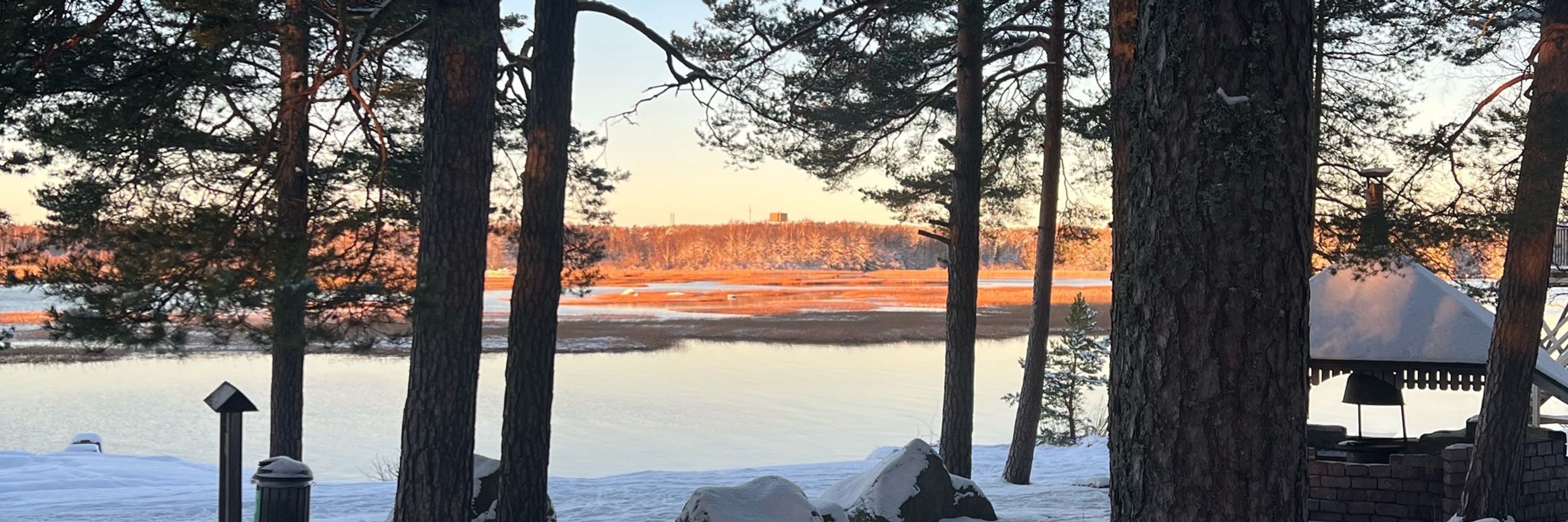 Päivi Laakso-Kuivalainen