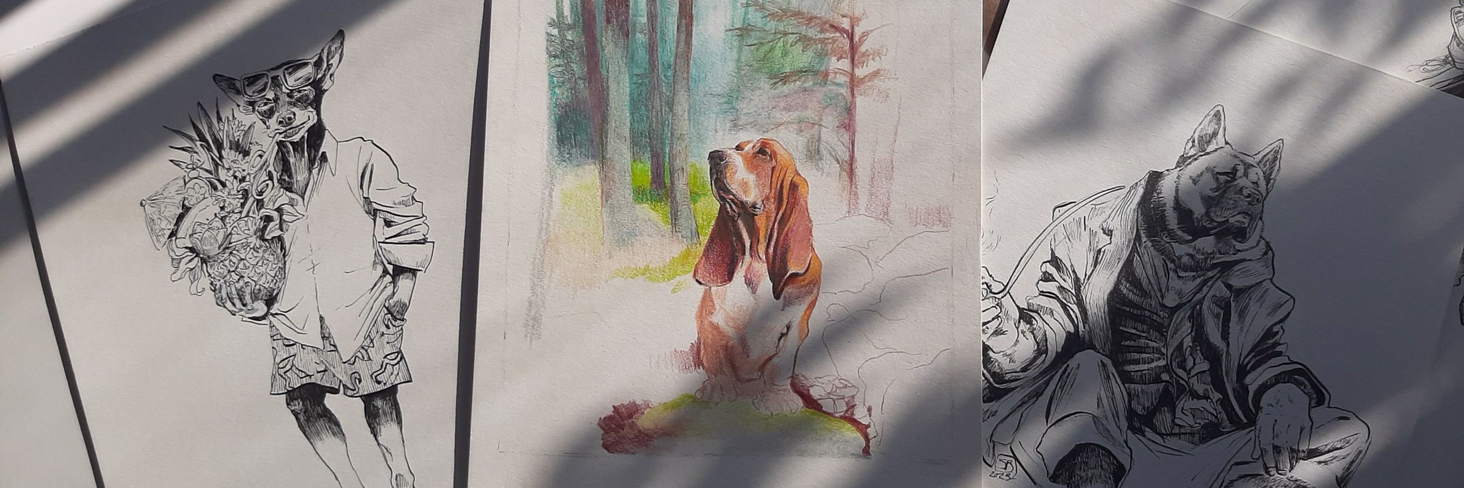 Sandra Breault Illustration