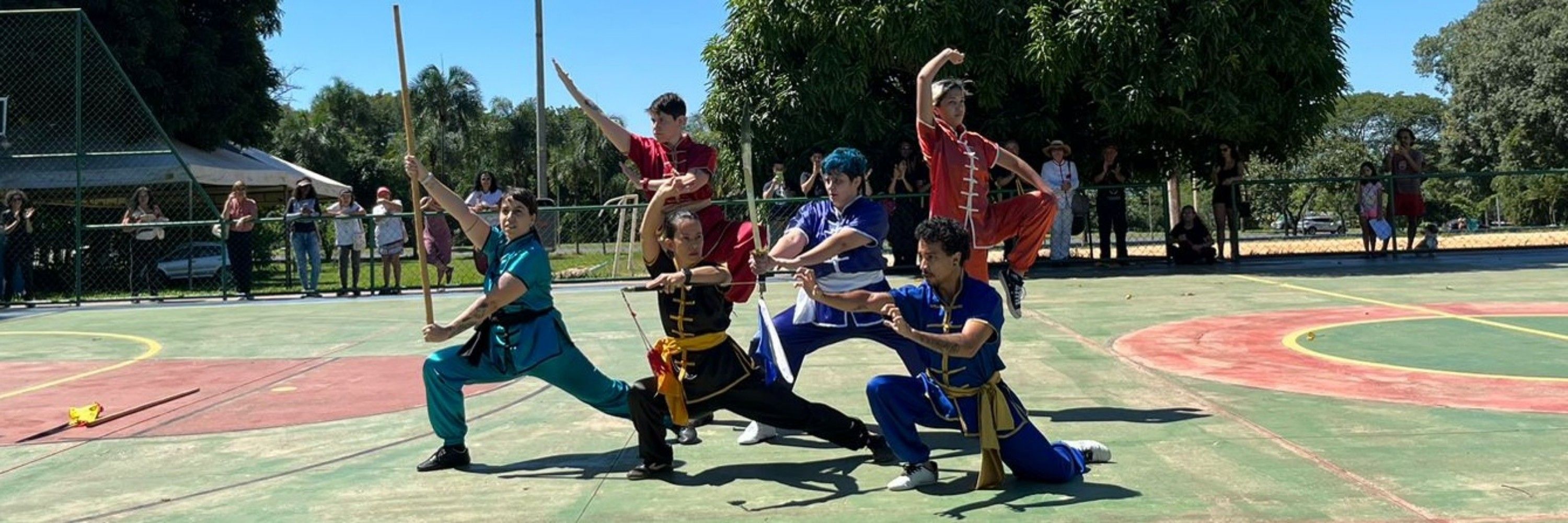 Shaolin de TI