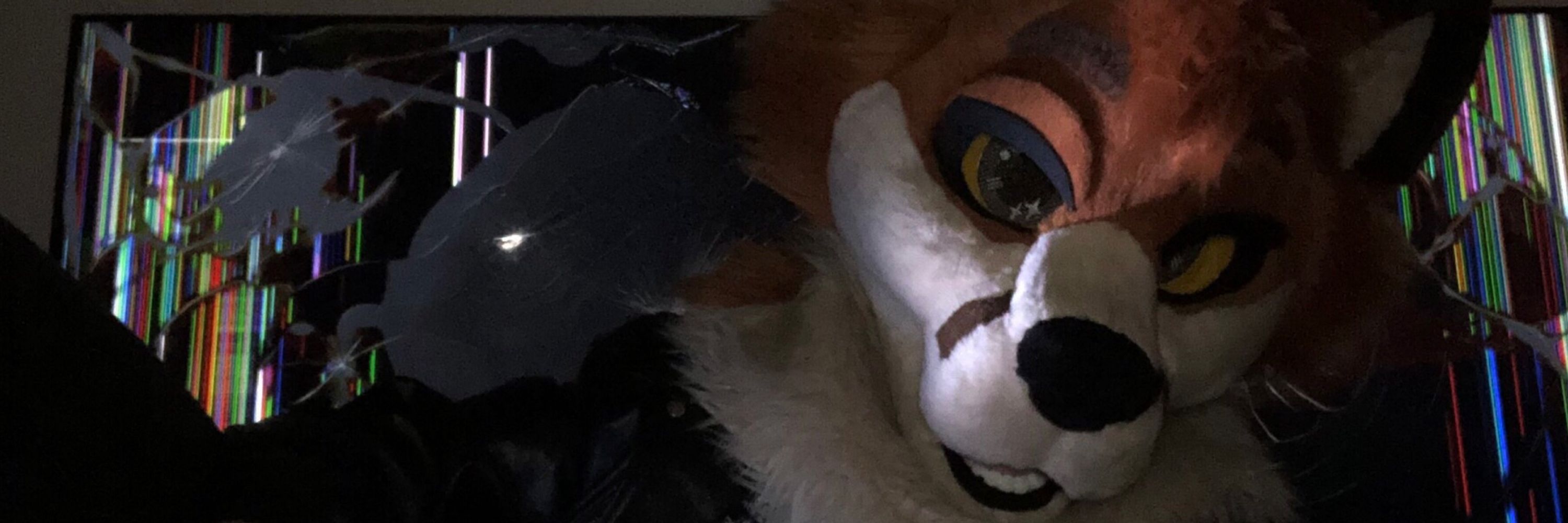 Fluffy Winters 🦊🧡