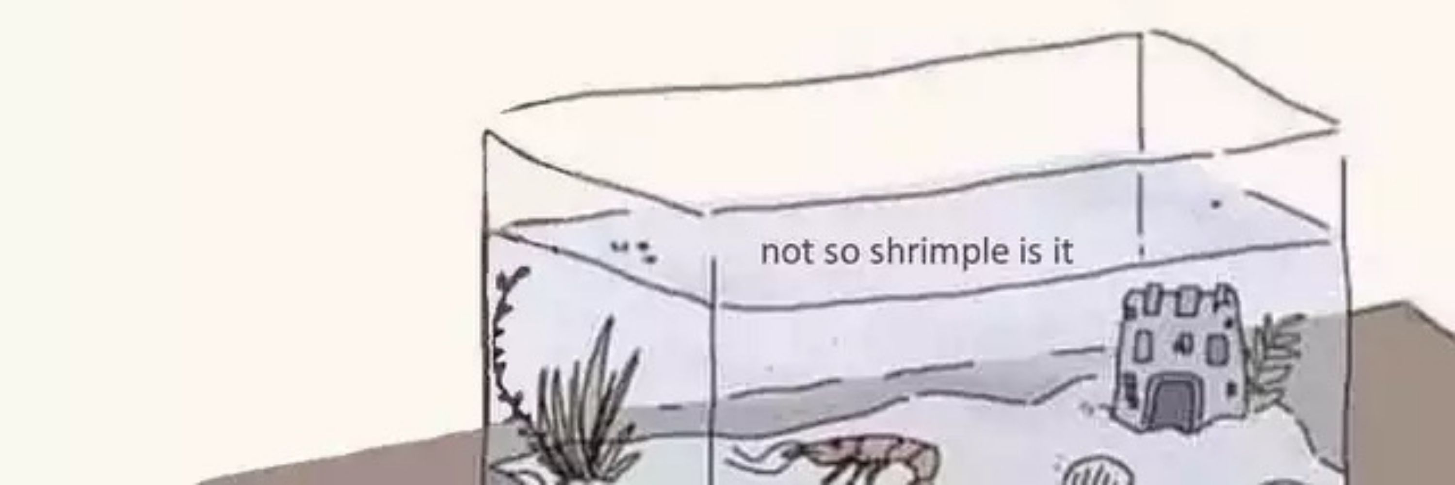 🦐