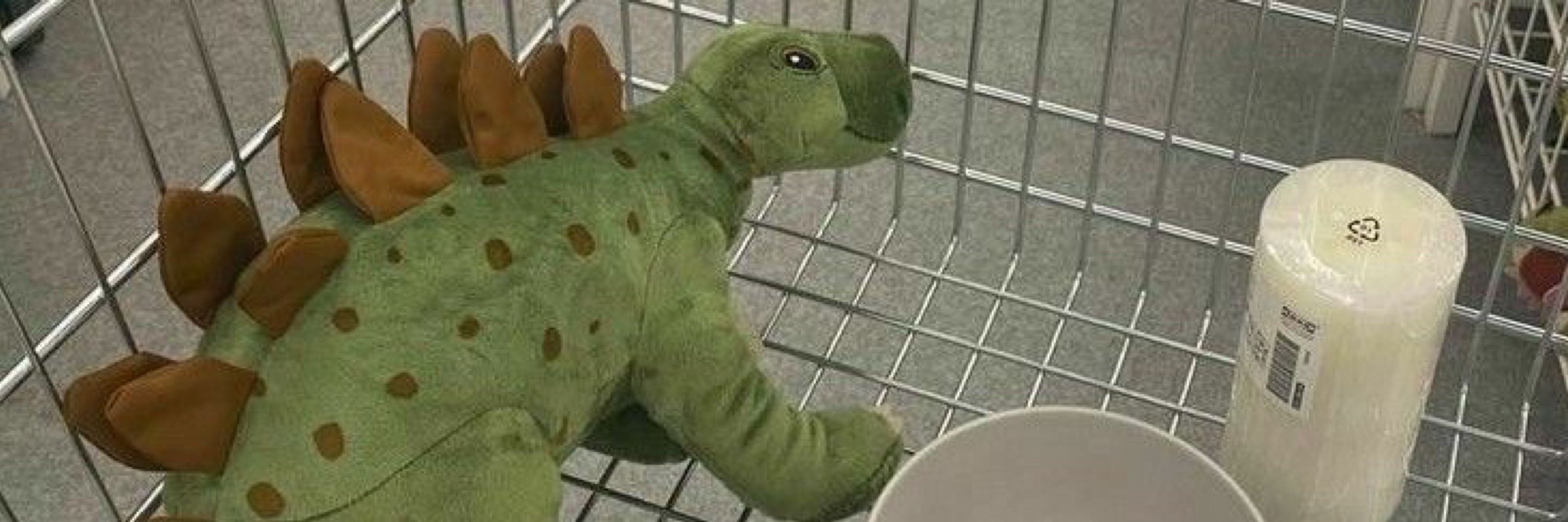 Ô.ō