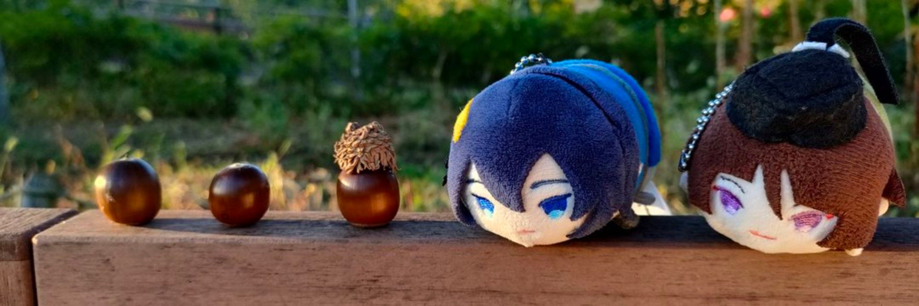 知伏