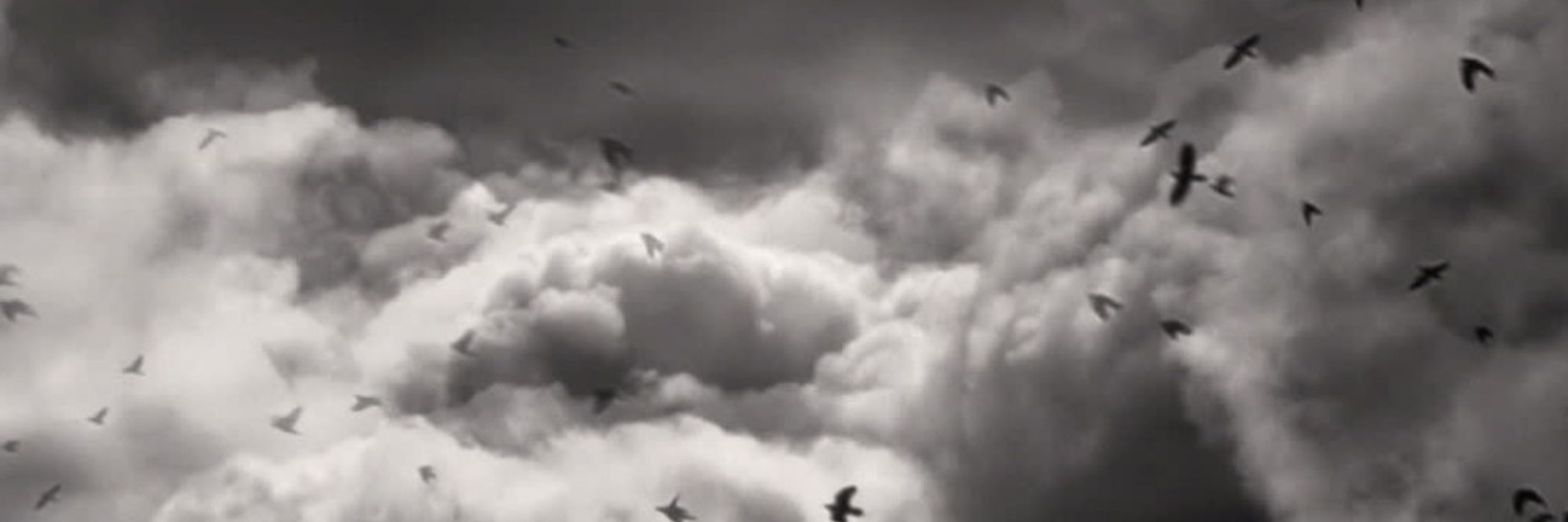 Crowley_Crow_