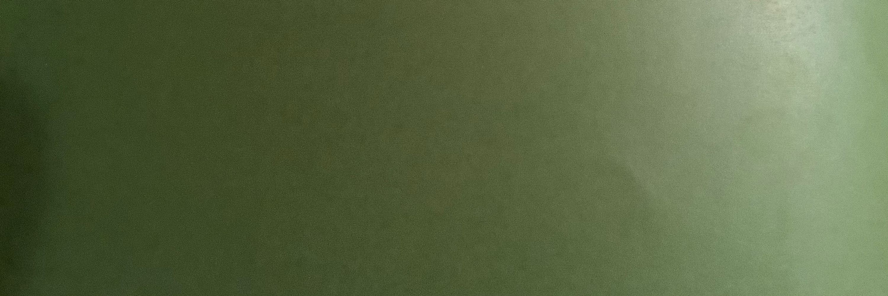 Psychnose