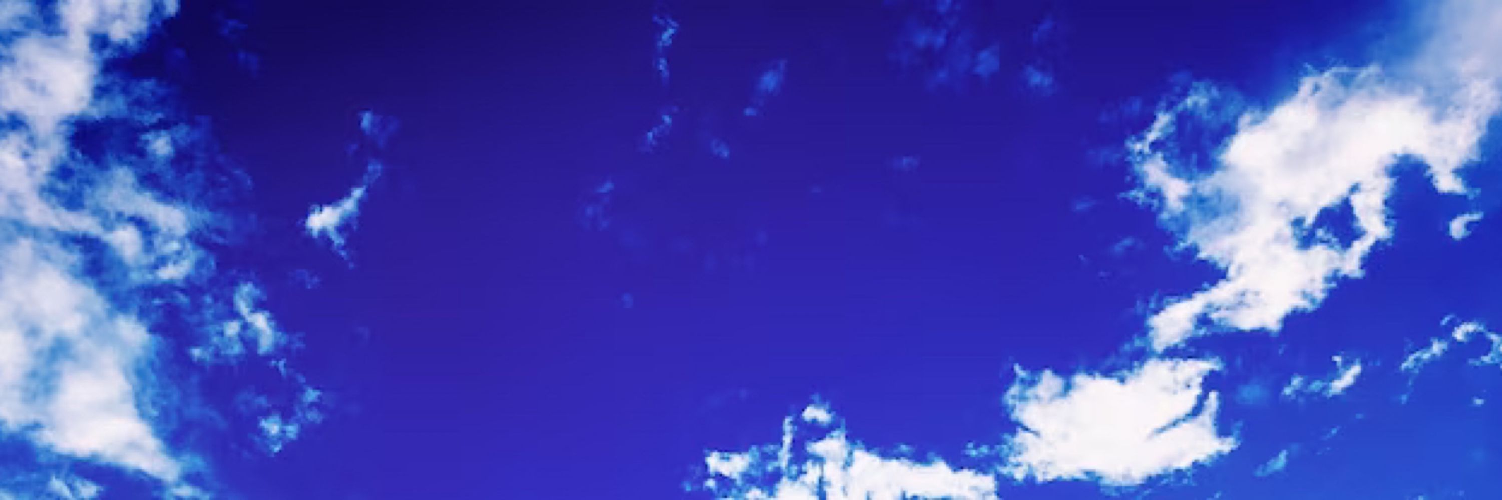 橘