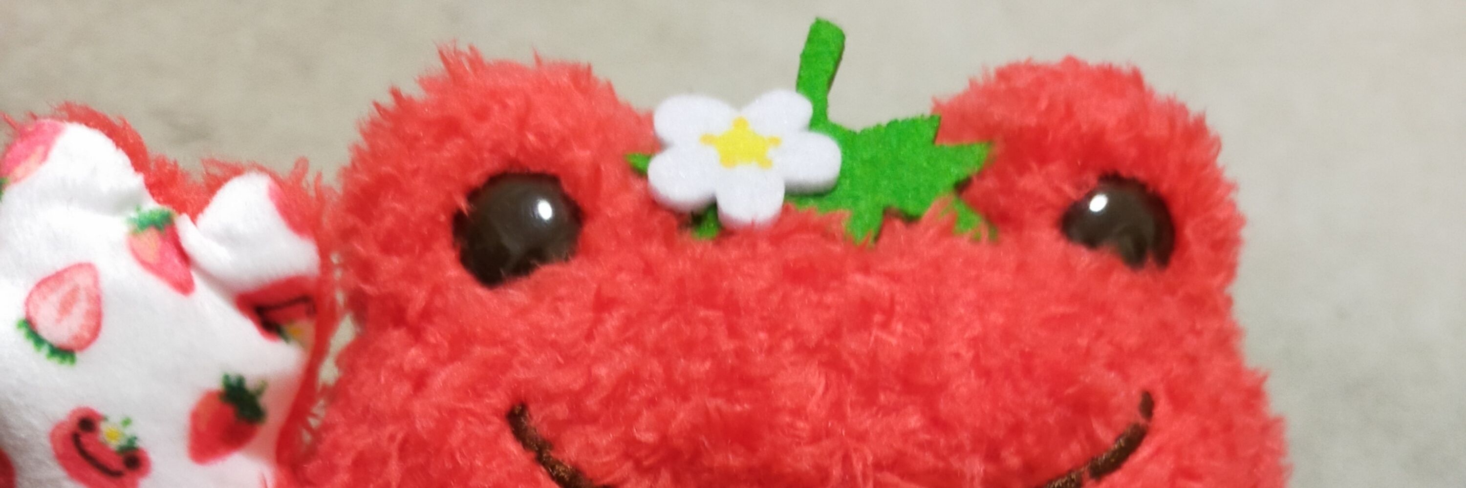 きゅーぶ