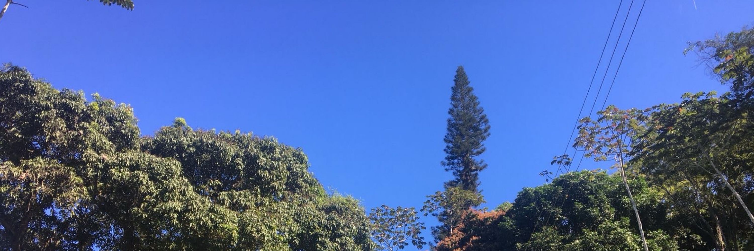 Fá